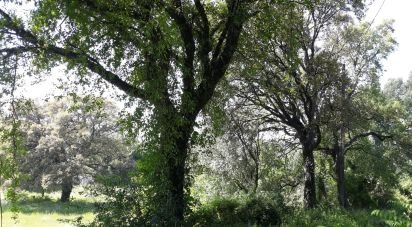 Terrain agricole à São Pedro Fins de 4 310 m²