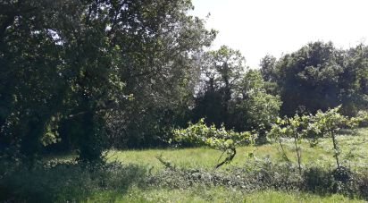 Terrain agricole à São Pedro Fins de 4 310 m²