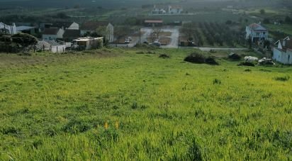 Terreno em Coz, Alpedriz e Montes de 4 816 m²