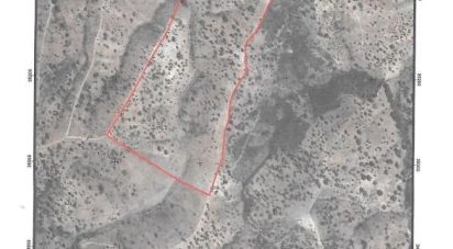 Terrain à Salir de 116 710 m²