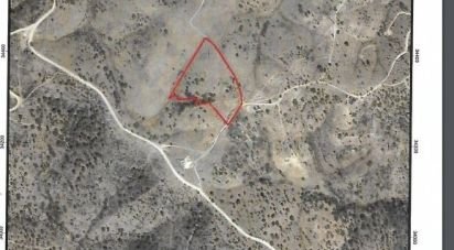 Terrain à Salir de 116 710 m²