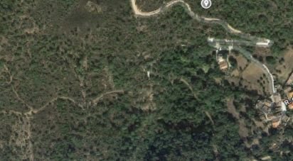 Terrain à Salir de 116 710 m²