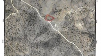 Terrain à Salir de 116 710 m²