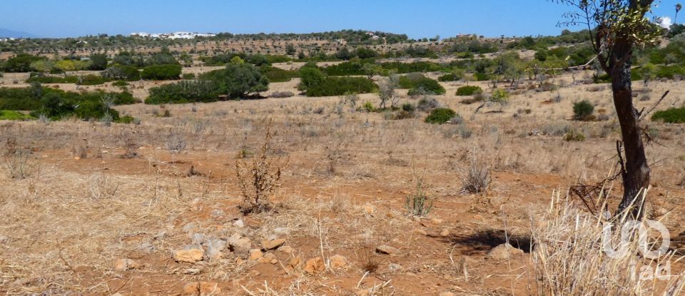 Building land in Luz of 46,600 m²