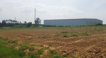 Surface diverse à Campelos e Outeiro da Cabeça de 12 838 m²
