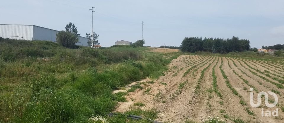 Surface diverse à Campelos e Outeiro da Cabeça de 12 838 m²