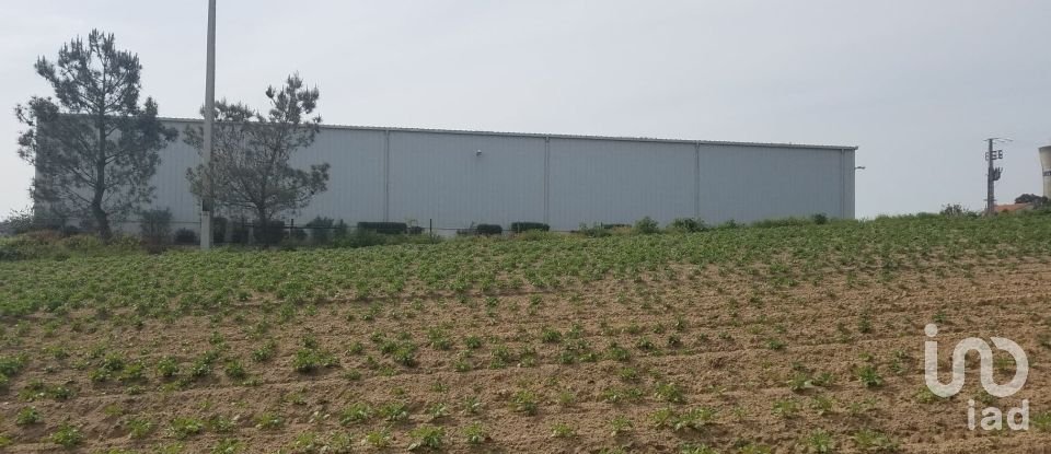 Surface diverse à Campelos e Outeiro da Cabeça de 12 838 m²