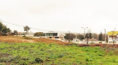 Terrain à São joão da madeira de 825 m²