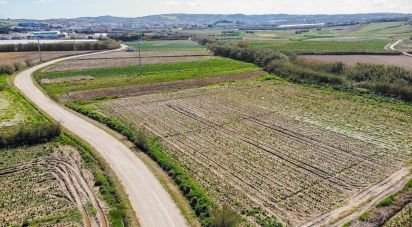 Agricultural land in Lourinhã e Atalaia of 7,560 m²