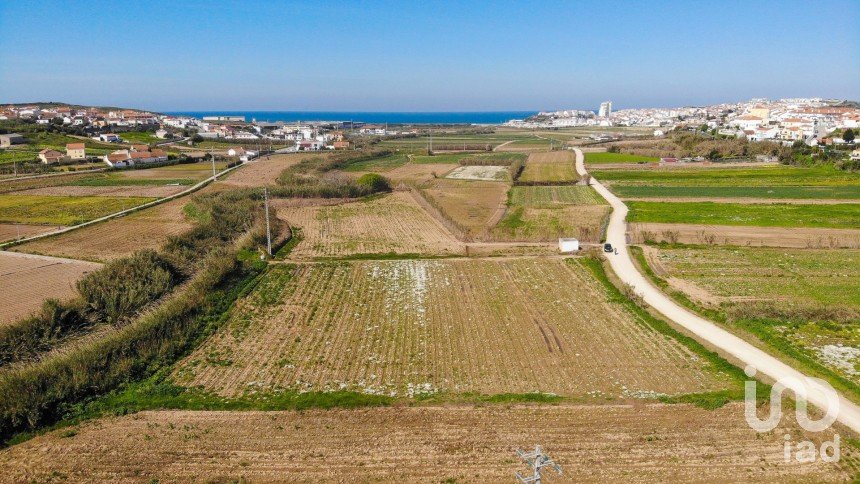 Agricultural land in Lourinhã e Atalaia of 7,560 m²