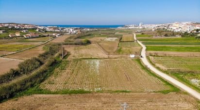 Terrain agricole à Lourinhã e Atalaia de 7 560 m²