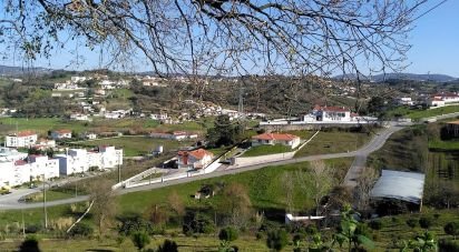 Building land in Batalha of 5,560 m²