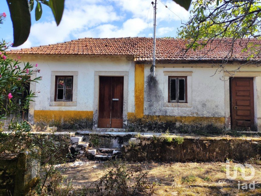 Village house T3 in Pedreiras of 50 m²