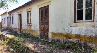 Maison de village T3 à Pedreiras de 50 m²