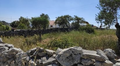 Land in Arrimal e Mendiga of 1,160 m²