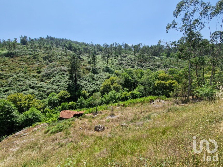 Building land in Panque of 2,530 m²