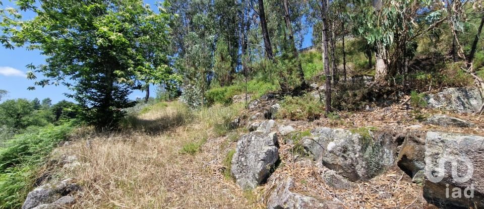 Building land in Panque of 2,530 m²