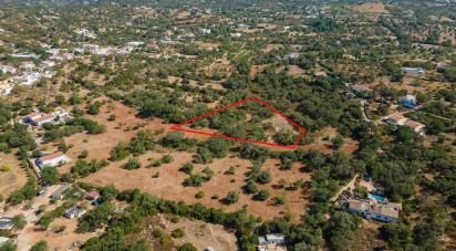 Terrain agricole à Santa Bárbara de Nexe de 3 000 m²