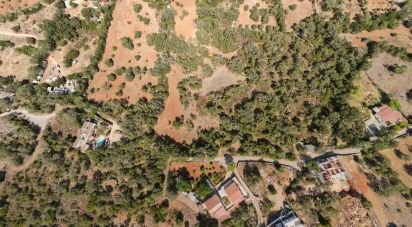 Terrain agricole à Santa Bárbara de Nexe de 3 000 m²