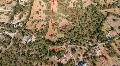 Terrain agricole à Santa Bárbara de Nexe de 3 000 m²