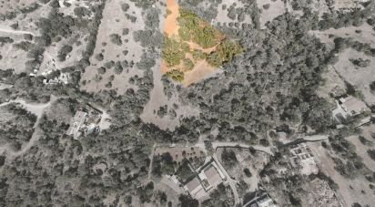 Terrain agricole à Santa Bárbara de Nexe de 3 000 m²