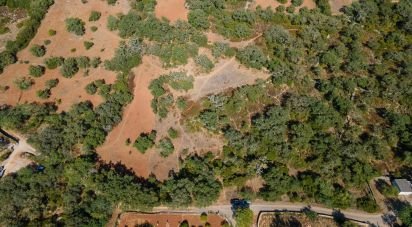 Terrain agricole à Santa Bárbara de Nexe de 3 000 m²
