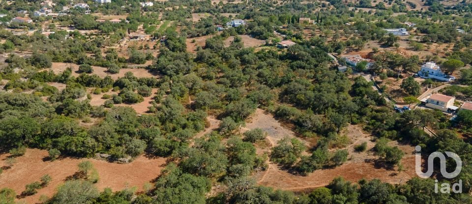 Terreno Agrícola em Santa Bárbara de Nexe de 3 000 m²