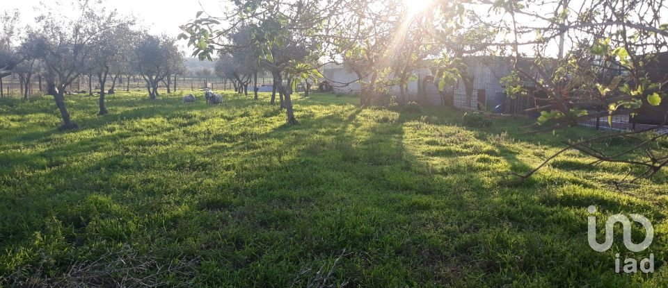 Building land in Vaiamonte of 606 m²
