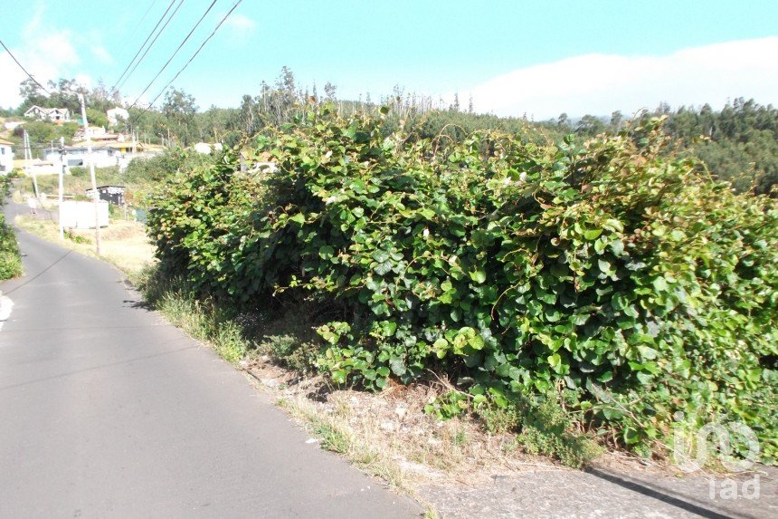 Terreno urbano em Camacha de 1 050 m²