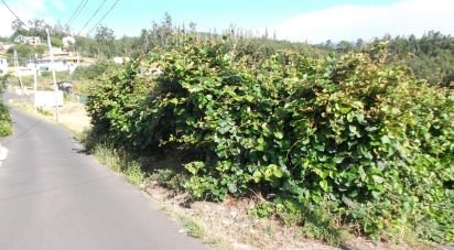 Terrain à bâtir à Camacha de 1 050 m²