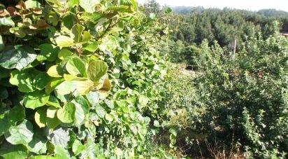 Terrain à bâtir à Camacha de 1 050 m²