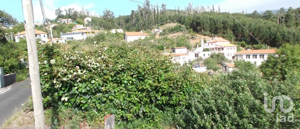 Terreno urbano em Camacha de 1 050 m²