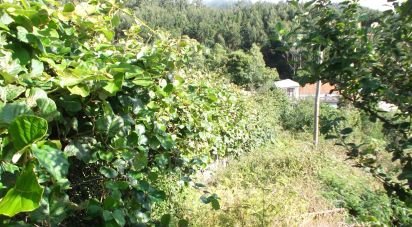 Terrain à bâtir à Camacha de 1 050 m²