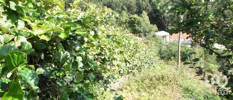 Terreno urbano em Camacha de 1 050 m²