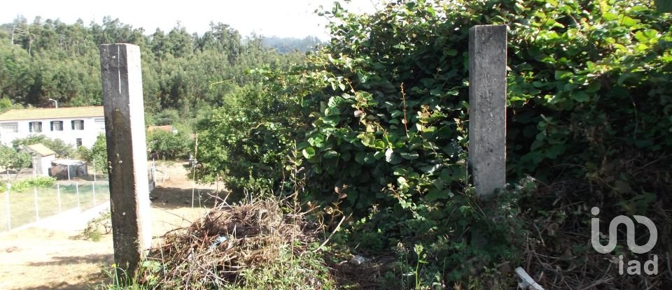 Terreno urbano em Camacha de 1 050 m²