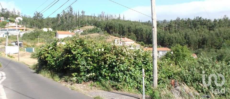 Terreno urbano em Camacha de 1 050 m²