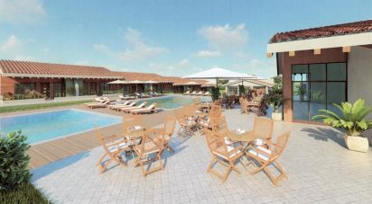 Terrain à bâtir à Portimão de 7 833 m²