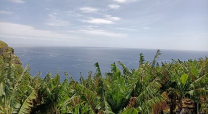 Building plot in Calheta of 5,060 m²