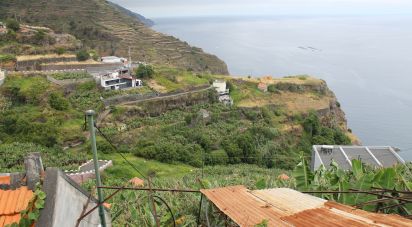 Building plot in Calheta of 5,060 m²