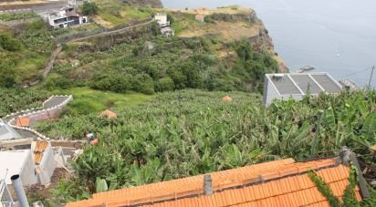 Building plot in Calheta of 5,060 m²