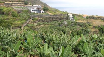Building plot in Calheta of 5,060 m²