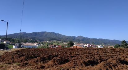 Terrain à bâtir à Santana de 2 980 m²