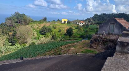 Terrain à bâtir à Santana de 3 560 m²