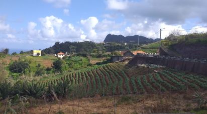 Terrain à bâtir à Santana de 3 560 m²