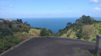 Terrain à bâtir à Santana de 3 560 m²
