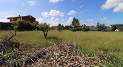 Terrain à bâtir à Silveira de 5 360 m²