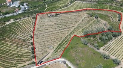 Maison rustique T4 à Peso da Régua e Godim de 343 m²