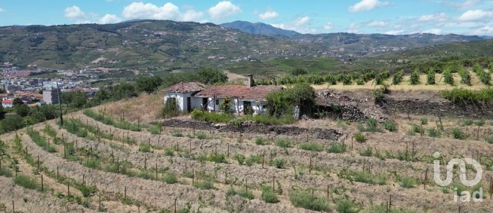 Maison rustique T4 à Peso da Régua e Godim de 343 m²