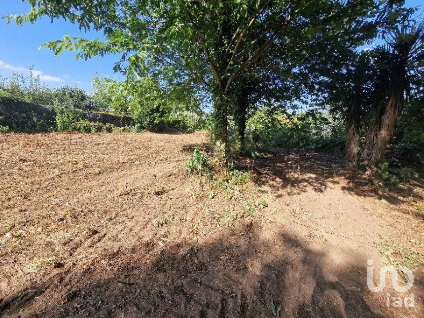 Building land in Panque of 5,602 m²
