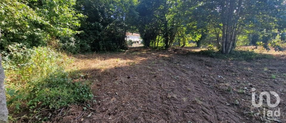 Building land in Panque of 5,602 m²